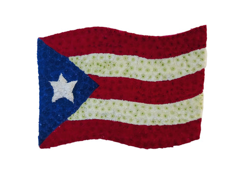 D-10 Bandera de Puerto Rico