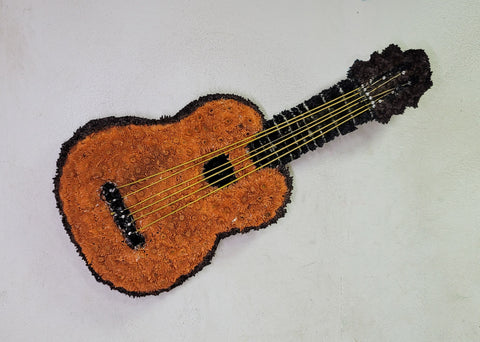 D-12 Diseño guitarra